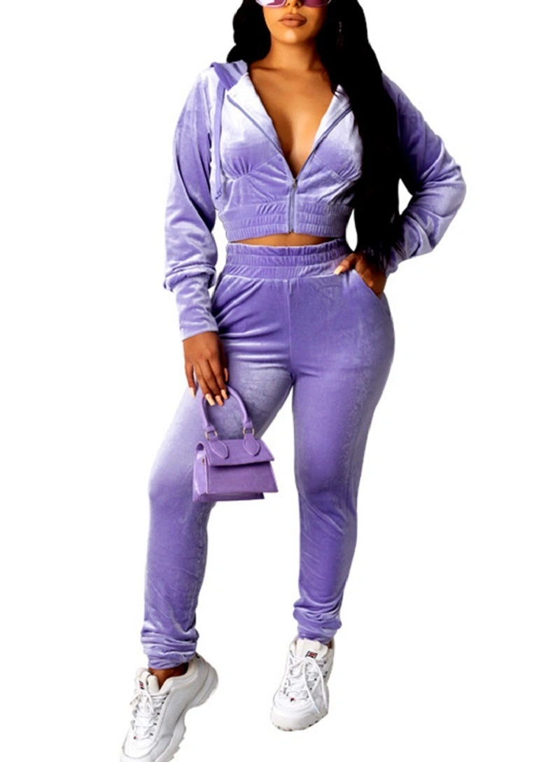 Two Piece Tracksuit Women Velvet Hoodie Crop Top Sweatshirt and Pants Esg16122